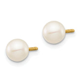 14K Yellow Gold Freshwater Pearl Earrings with Polished Finish Elegant & Nickel Free